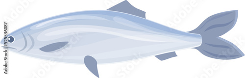Smoked fish icon cartoon vector. Sea herring. Baltic fish