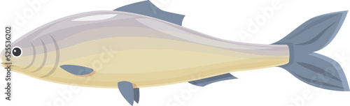 Trout herring icon cartoon vector. Sea fish. Sardine food