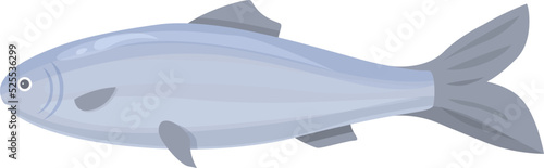 Baltic herring icon cartoon vector. Sea fish. Store seafood