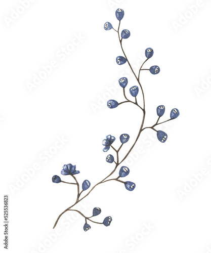 Twig With Blue Flowers.Watercolor illustration.