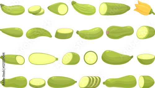 Vegetable marrow icons set cartoon vector. Agriculture zucchini. Cooking vegetable
