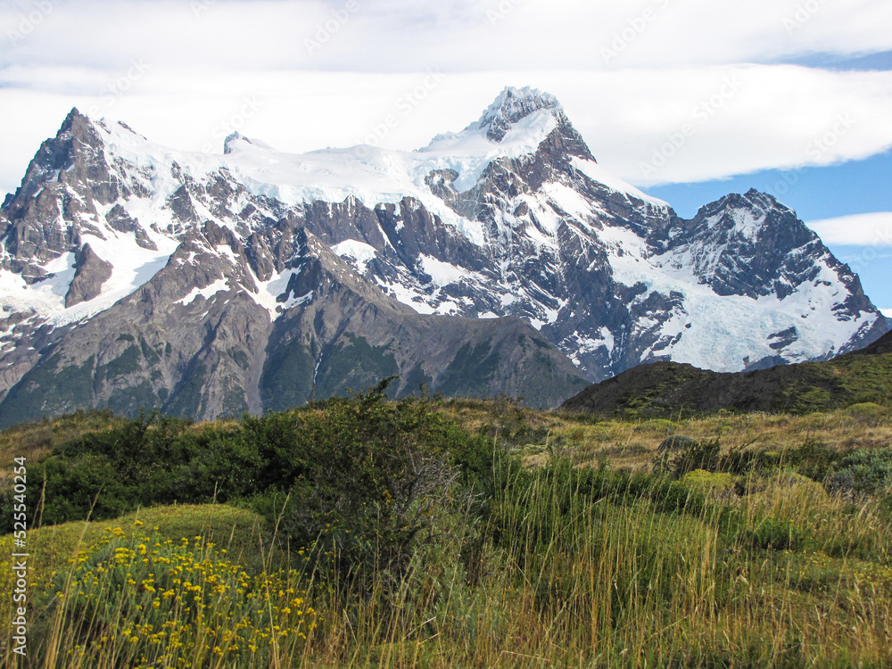 The landscape of Torres del Paine with peaks in the background and meadow in front