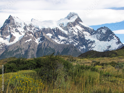 The landscape of Torres del Paine with peaks in the background and meadow in front
