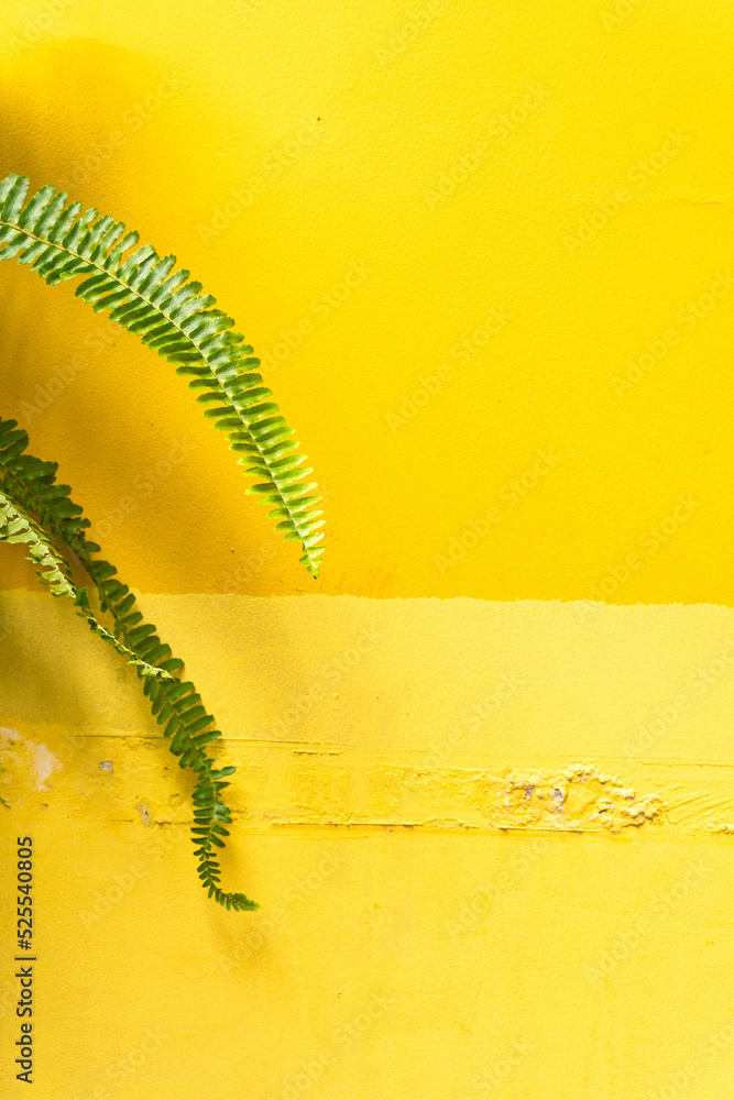 Yellow background, damaged wall, energetic colors, summer texture.