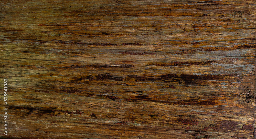 Drewniane tło z desek, ciemne drewno, naturalna tekstura starego drzewa. - obrazy, fototapety, plakaty 