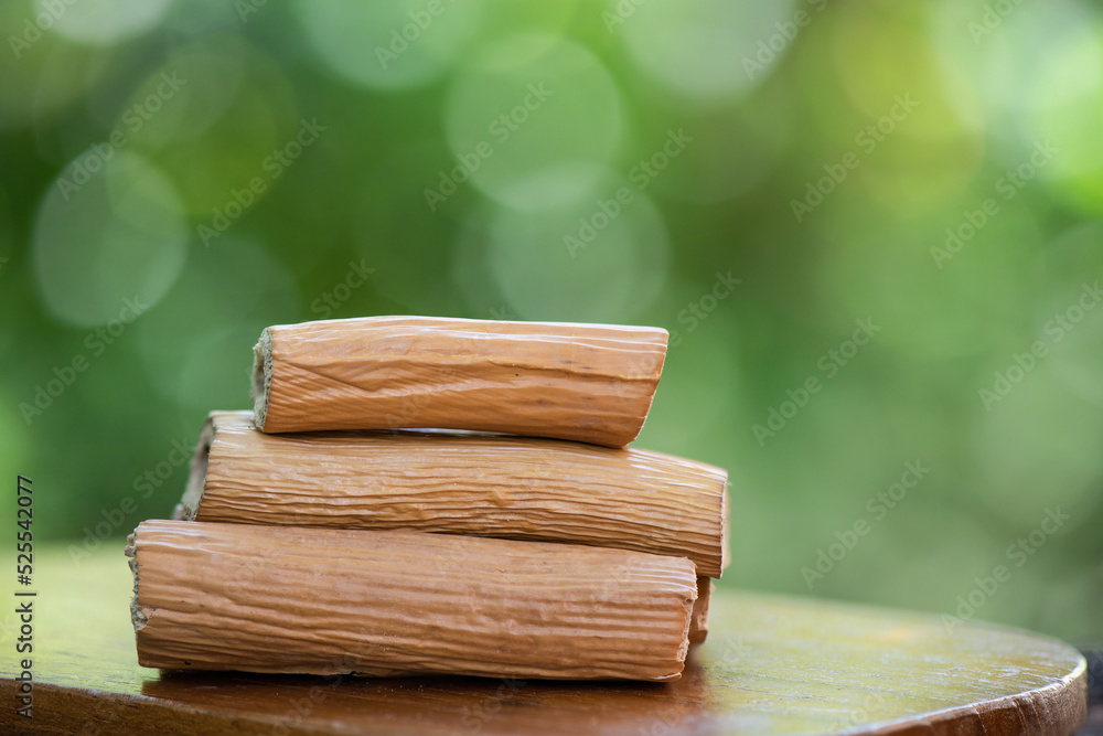 Phragmites karka woods on nature background. Stock Photo | Adobe Stock