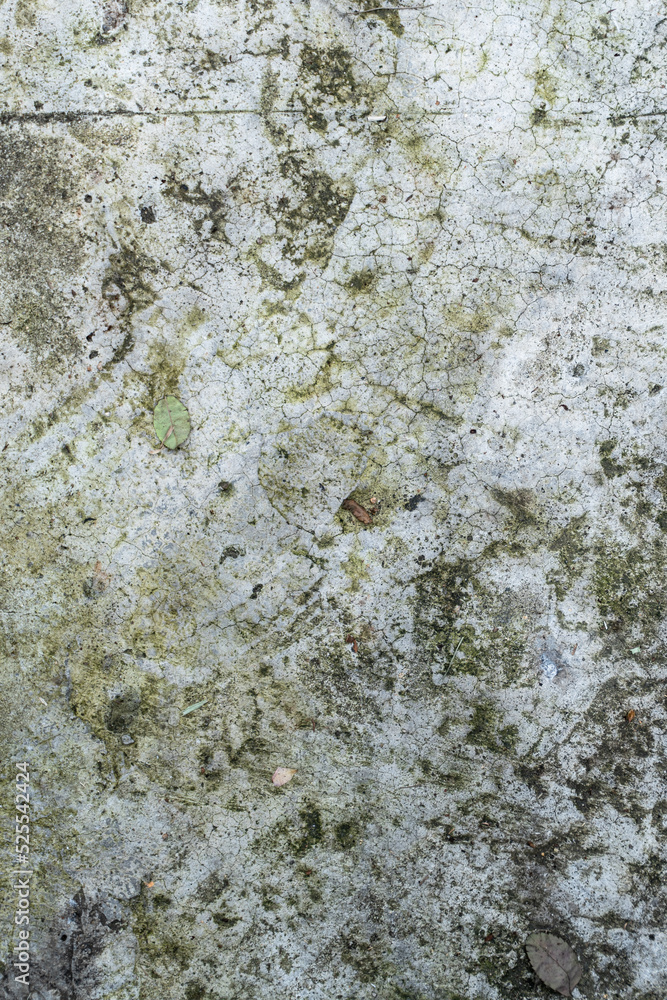 White-gray wall, dirty background, damaged texture.