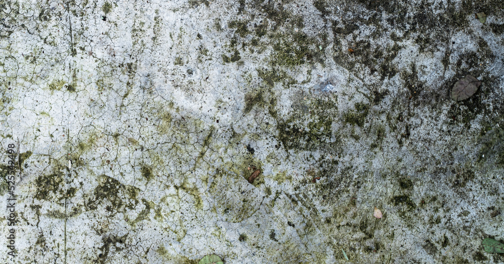 White-gray wall, dirty background, damaged texture.