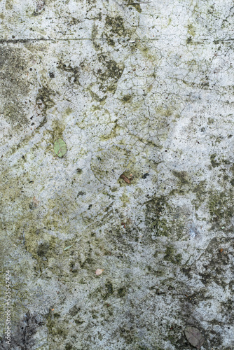 Obraz na płótnie White-gray wall, dirty background, damaged texture. w salonie
