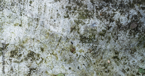 Obraz na płótnie White-gray wall, dirty background, damaged texture. w salonie