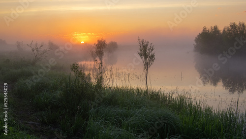 morning mist over the river