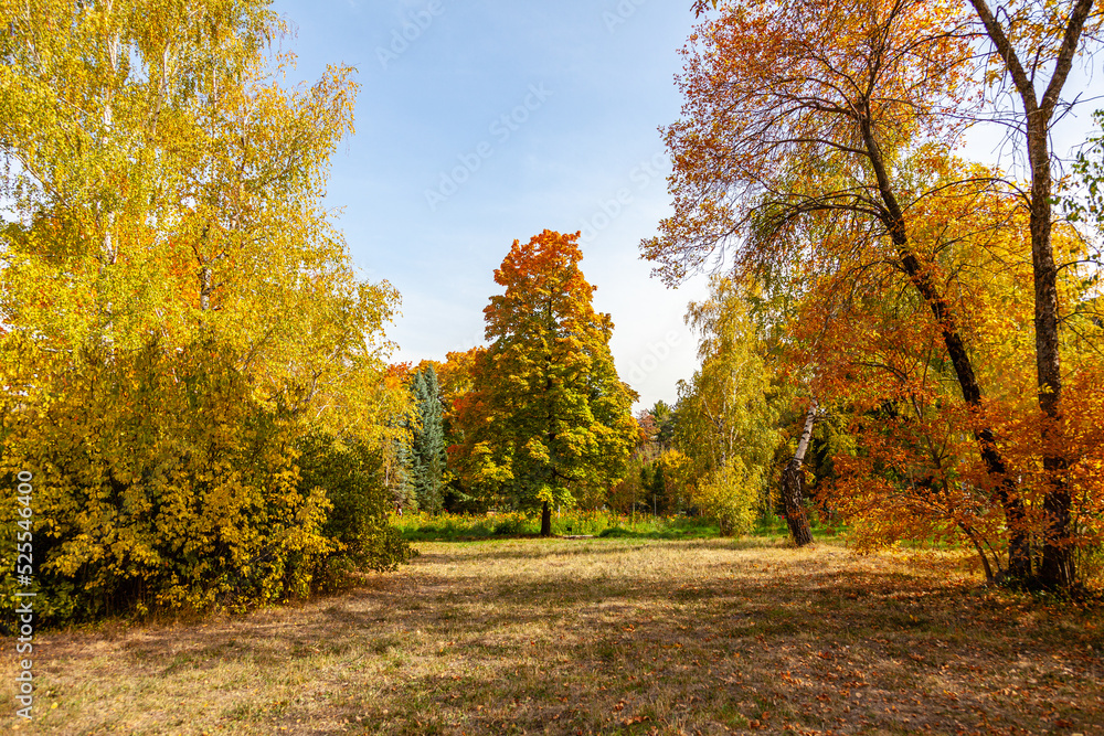 Golden autumn in the charming botanical garden of Almaty