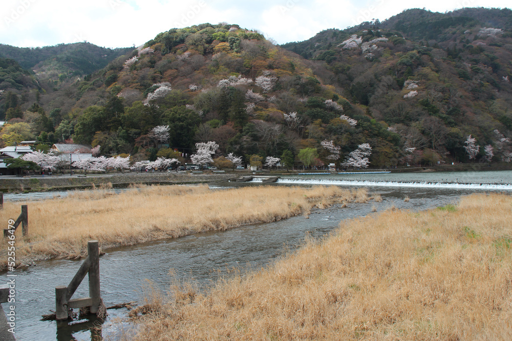 river (hozu-gawa) in kyoto (japan)