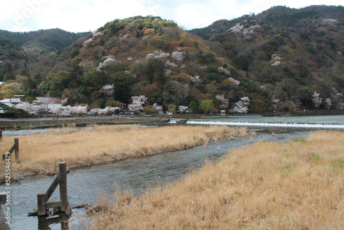river (hozu-gawa) in kyoto (japan) photo