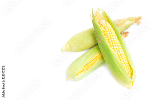 Fresh yellow corn cobs isolated on white background