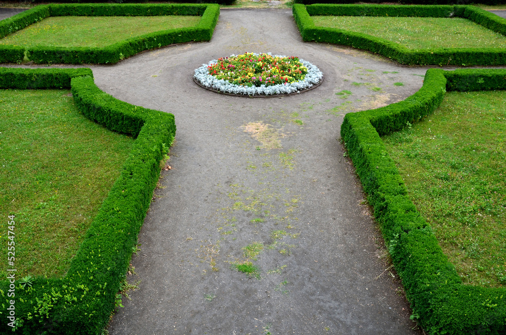 cut hedges into various geometric shapes. Strictly cut evergreen