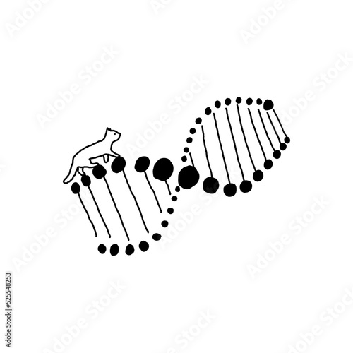 Doodle hand drawn illustration. The cat is walking on the DNA formula. Sketch collection.
