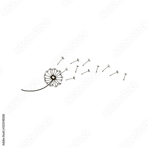 Doodle hand drawn illustration. The wind blows on the dandelion. Sketch collection.