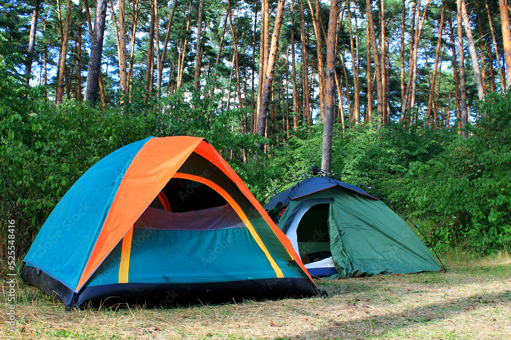 two tents in a pine forest in summer, camping in nature, camping tent in nature, double tent, triple tent, summer camping with a tent