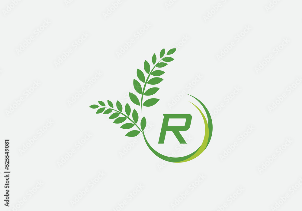 Green leaf and laurel wreath logo design vector with the letter and alphabet R Green leaf and laurel wreath logo design vector with the letter and alphabet R