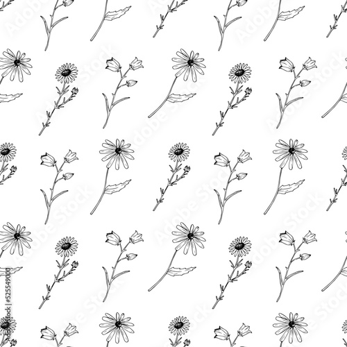 Vector seamless pattern with wildflowers. Hand drawn flowers on white background. Chamomile, gloriosa daisy and bellflower. Summer pattern.
