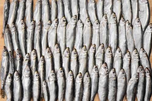 Fresh anchovies laid out in even rows. Top view of the catch of fish, background on the theme of the fishing industry.