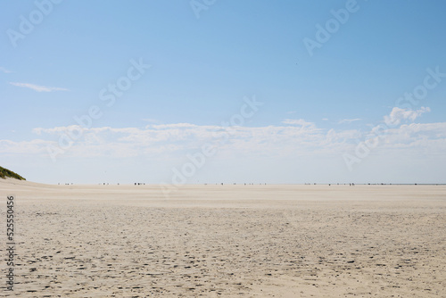 Wide beaches and sand dunes on the Dutch island of Texel on a sunny day, The Netherlands.