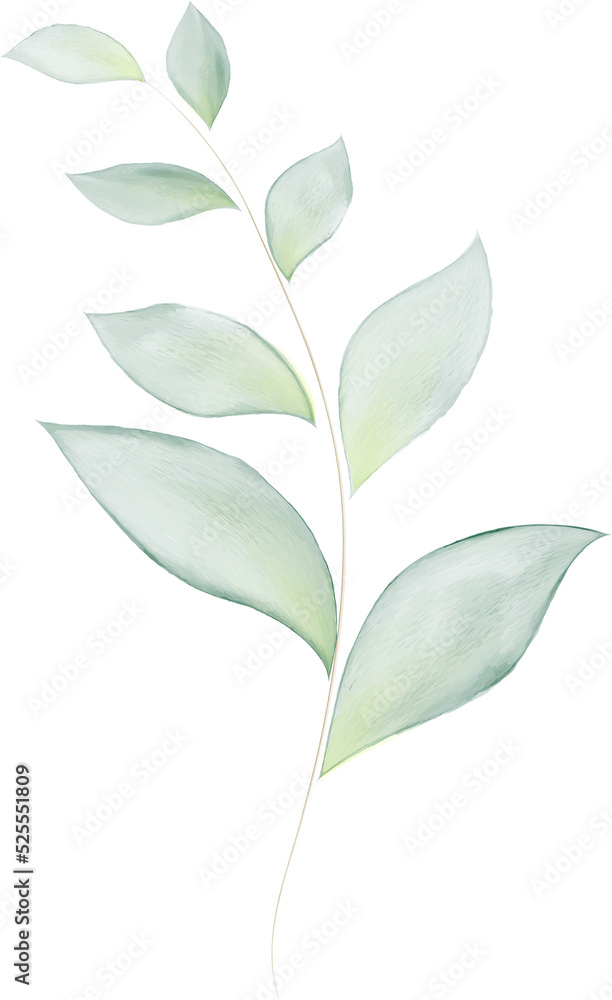 Obraz premium Green Leaves Branch Watercolor