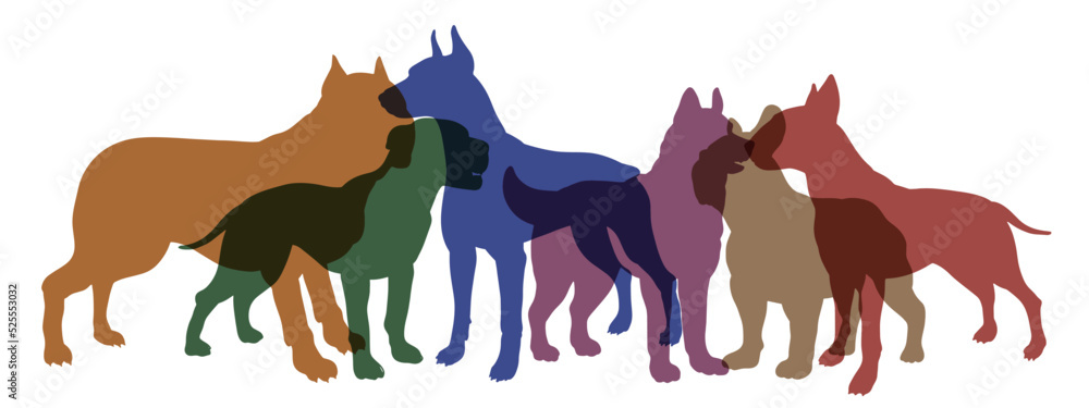   


Dogs, vector image. Animal silhouettes with various overlays.
