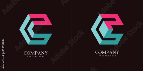 Set of 2 hexagonal geometric C logo letter in 3d illusion style. Beautiful logotype initial design for company or personal branding. EPS8