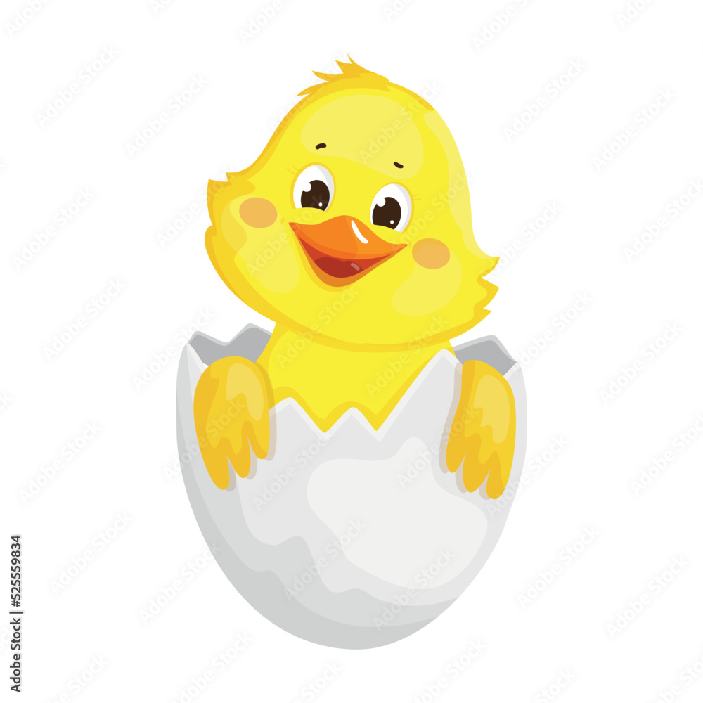Chick in eggshell. Colorful children's illustration. Chick in eggshell. Colorful children's illustration.