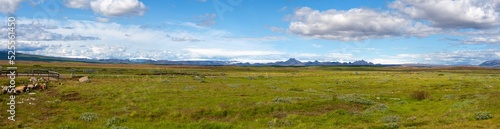 Panoramic view over green meadows and moss covered lava fields, glaciers in the south of Iceland