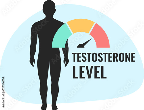 Testosterone level metering vector cartoon
