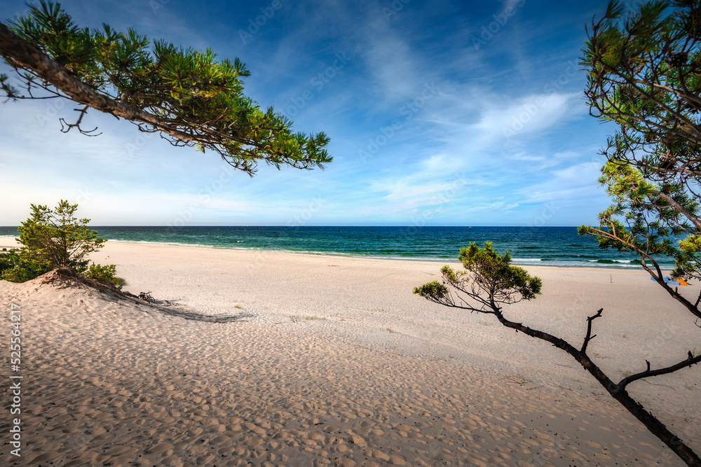 Baltic Sea. Beautiful beach, coast and dune on the Hel Peninsula. Piękne plaże półwyspu helskiego z widokiem na wydmę, roślinność wydmową, piasek i morze bałtyckie. 
 - obrazy, fototapety, plakaty 