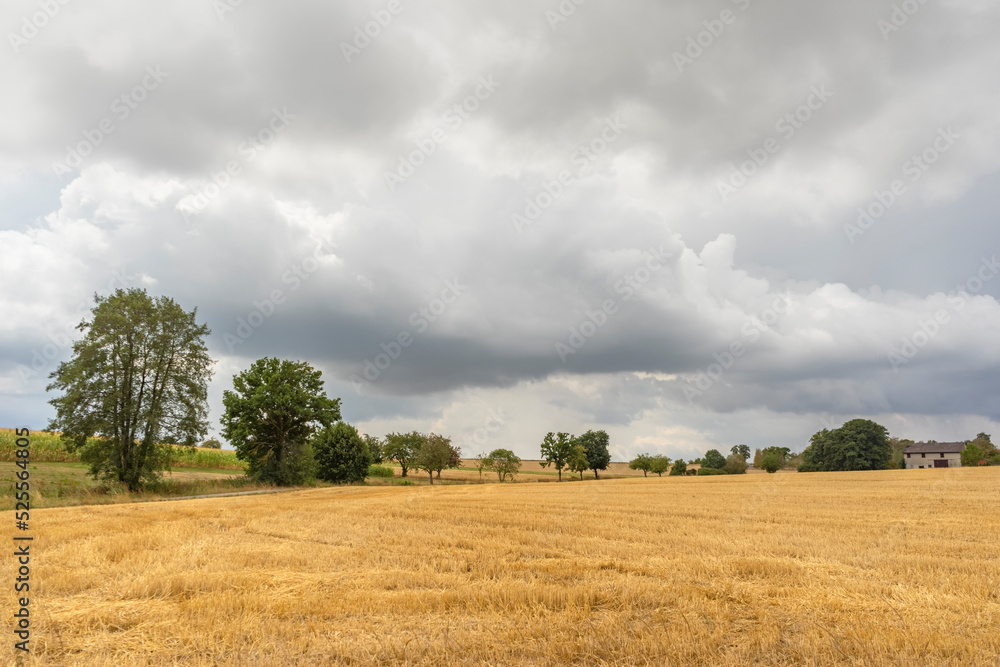 Stormy farmland scenery