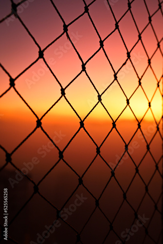sunset on the fence