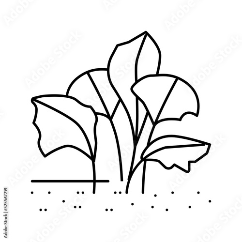 live aquatic plant aquarium fish line icon vector illustration