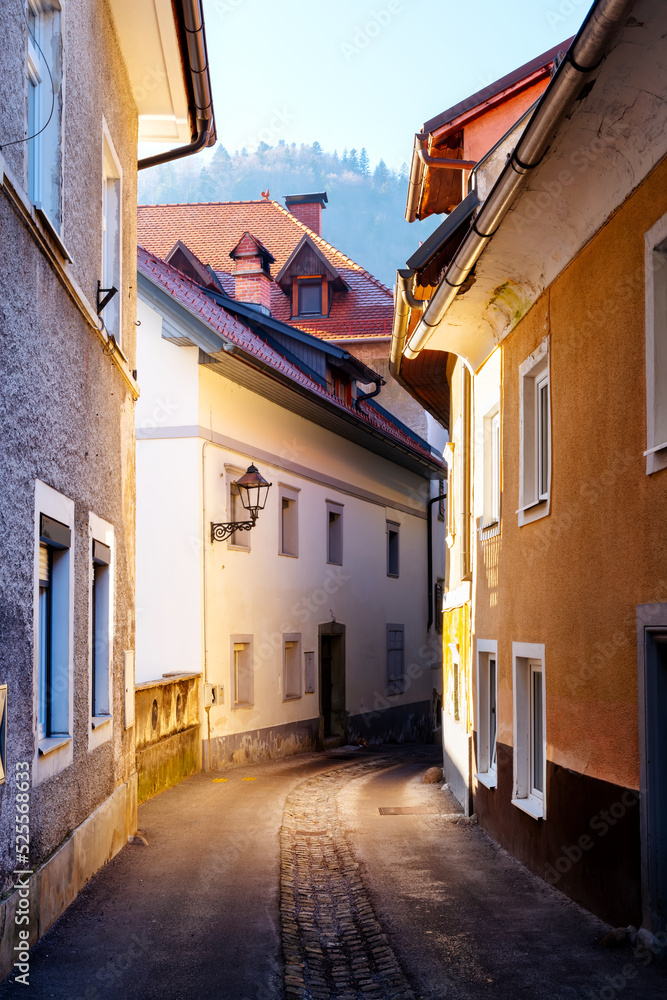 Idyllic narrow street in the old town of Trizic, Slovenia.