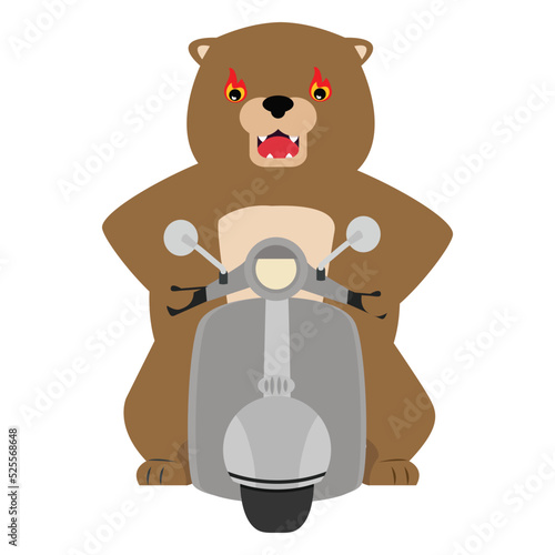 Biker bear riding on motorbike