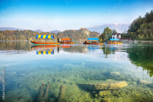 Gorgeous sunny day view of popular tourist destination Bled lake.