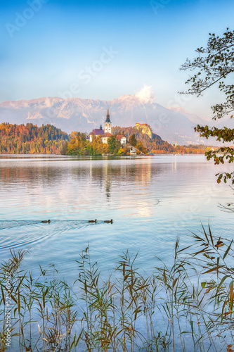 Stunning sunset view of popular tourist destination  Bled lake.