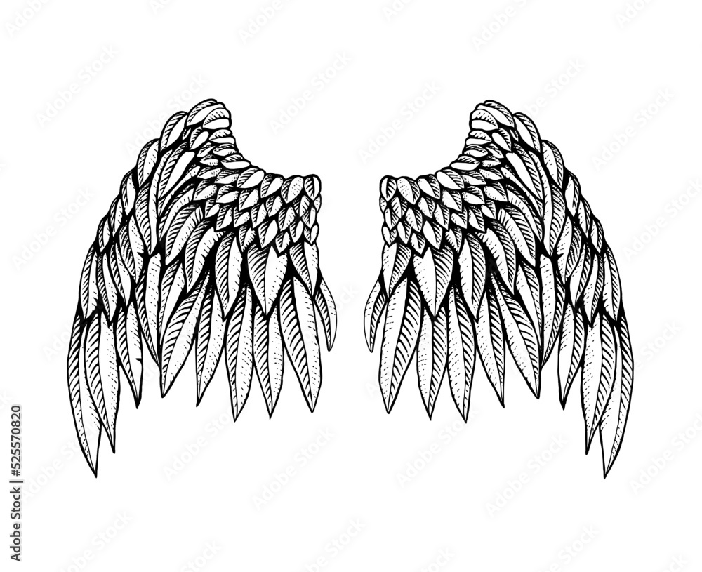 Hand drawn angel wings. Bird wings engraving reto style. Sketch ink ...