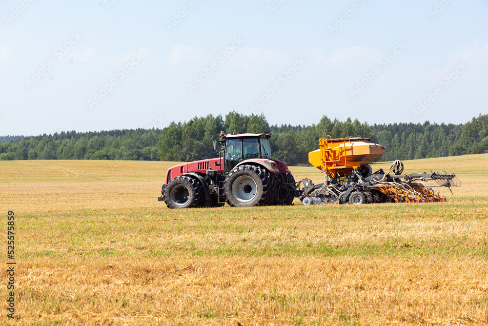 Fototapeta premium Tractor harvests grain in the field. Selective focus.
