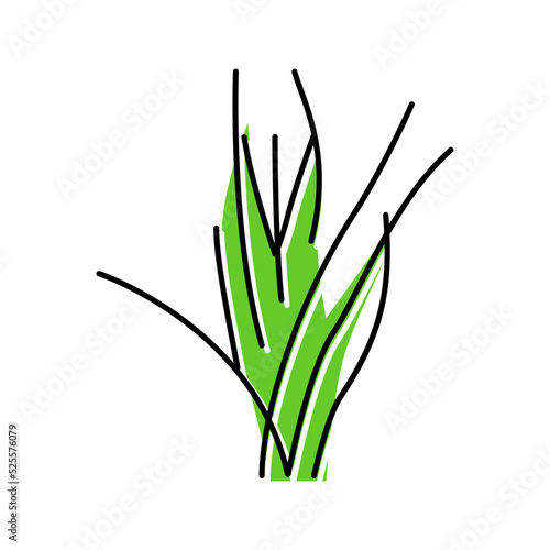 vallisneria spiralis color icon vector illustration