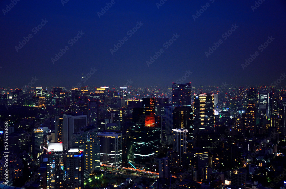 Night view of Tokyo_02