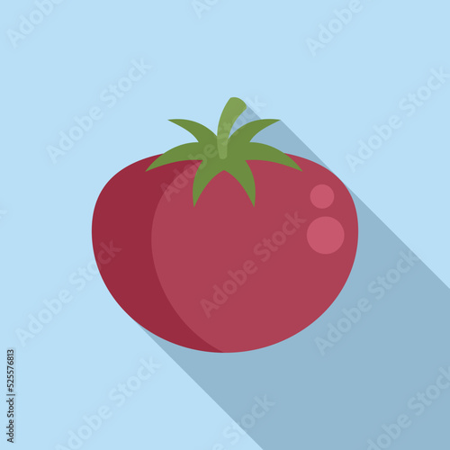 Gmo tomato icon flat vector. Dna food