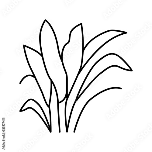amazon sword line icon vector illustration