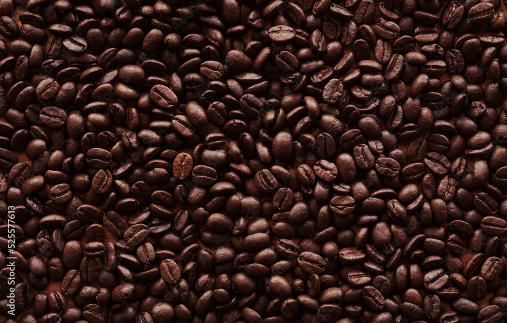 coffee beans for background. coffee seed coffee beans for background. coffee seed