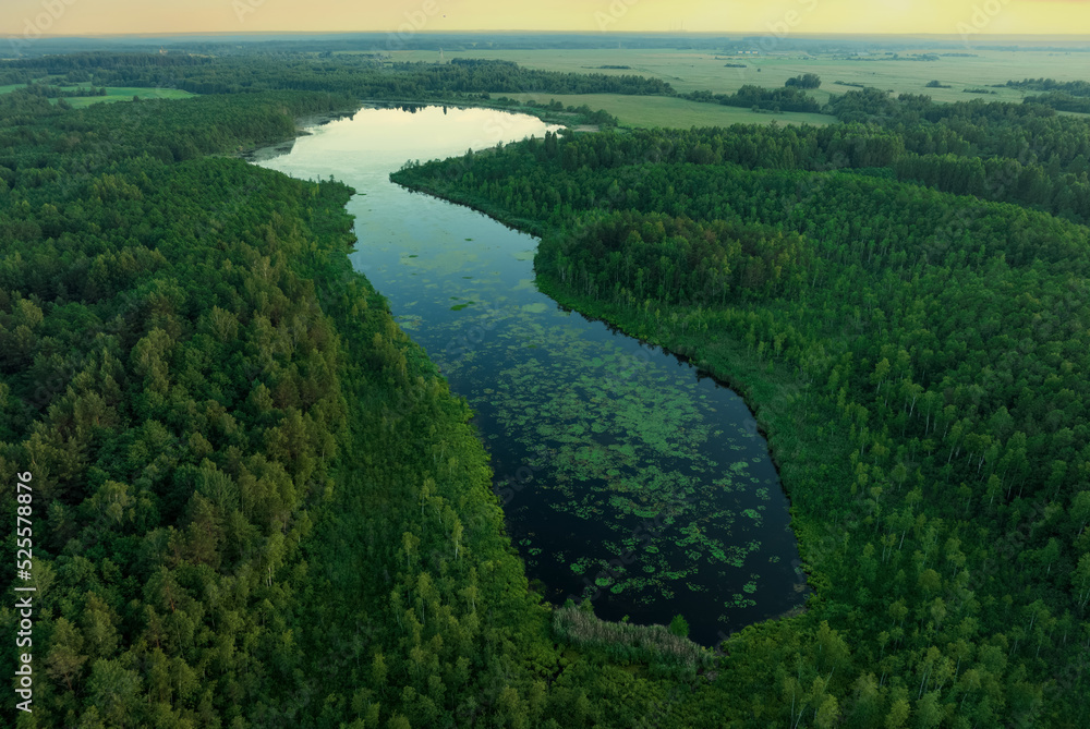 Forest Lake at sunset. Wild Lake in swamp, drone view. Rural landscape with lakes. Forest at bog. Drink water safe. Global drought crisis. Freshwater ecosystems, wetlands and Environmental Protection.