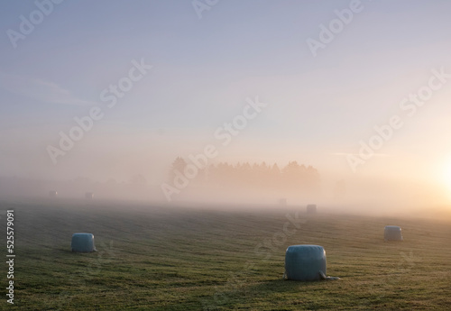 hay bales in misty early morning meadow between vielsalm and sankt vith in belgian ardennes photo